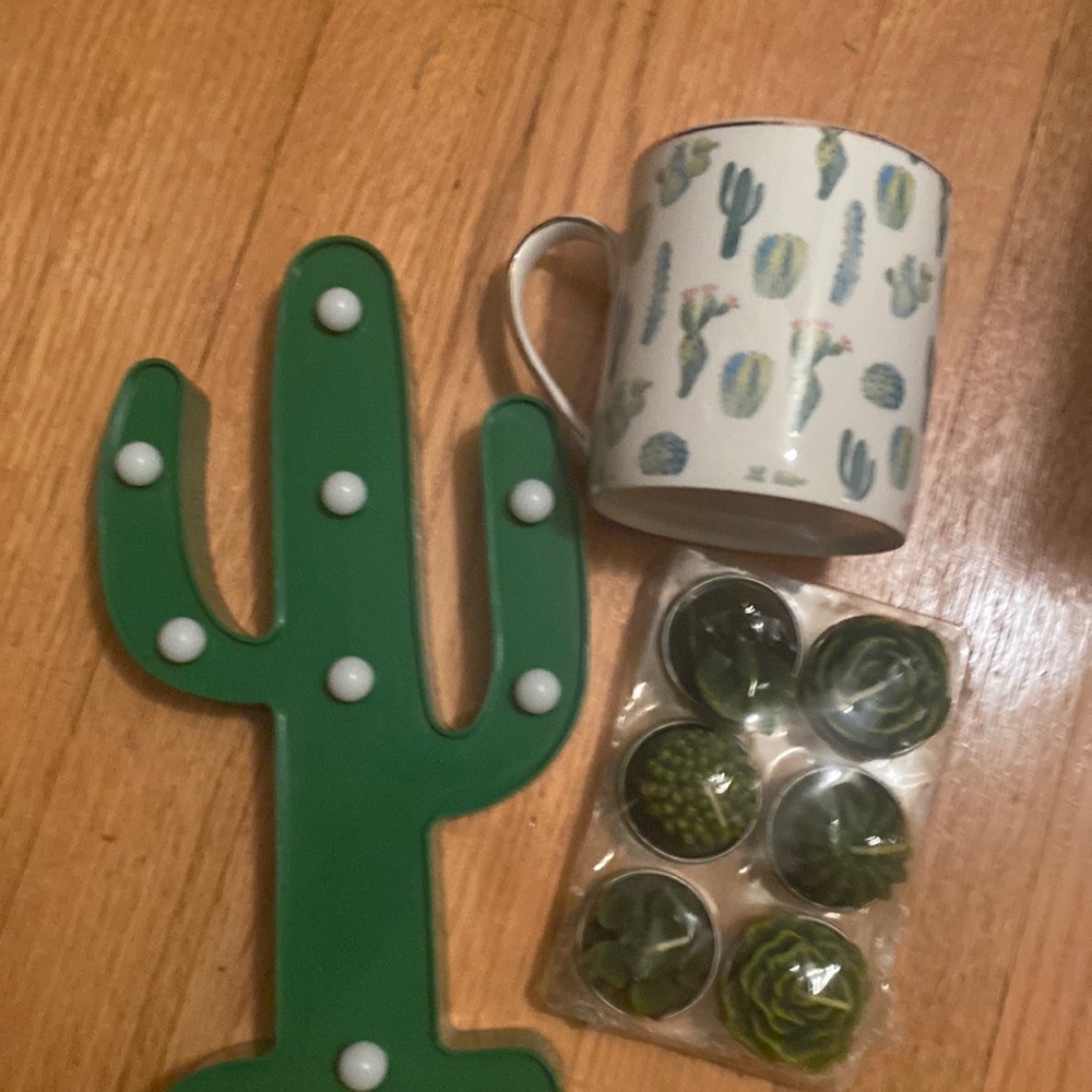 Cactus office decor